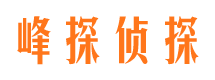 镇海外遇调查取证